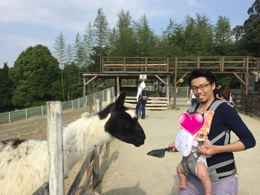 s΂̃~[WAn[xXg̋uɂā@qƃGT