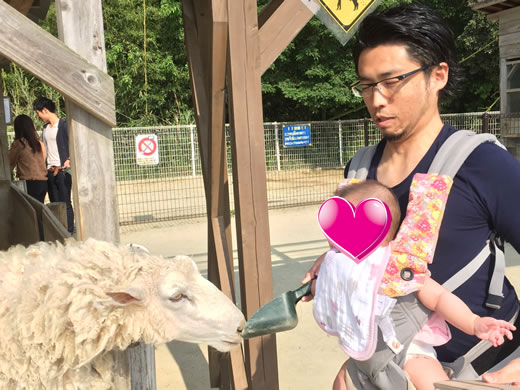 s΂̃~[WAn[xXg̋uɂā@qƃGT